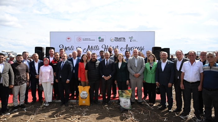 YERLİ HİBRİT AYÇİÇEĞİ HASAT EDİLDİ